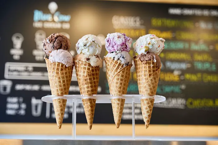 Blue Cow Ice Cream Co. Picture 5