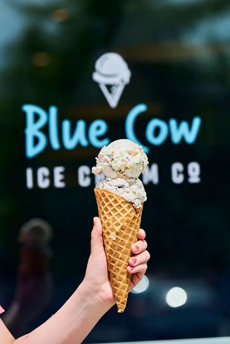 Blue Cow Ice Cream Co. Picture 4