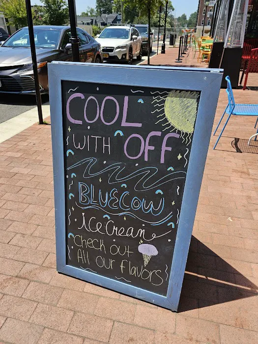 Blue Cow Ice Cream Co. Picture 8