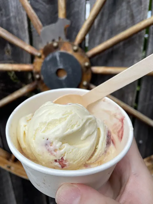 SugarBear Gourmet Ice Cream Picture 10