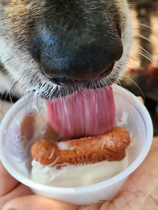 Willy's Ice Cream Picture 5