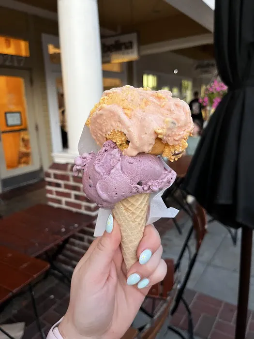 Sarah’s Handmade Ice Cream Wildwood Picture 3