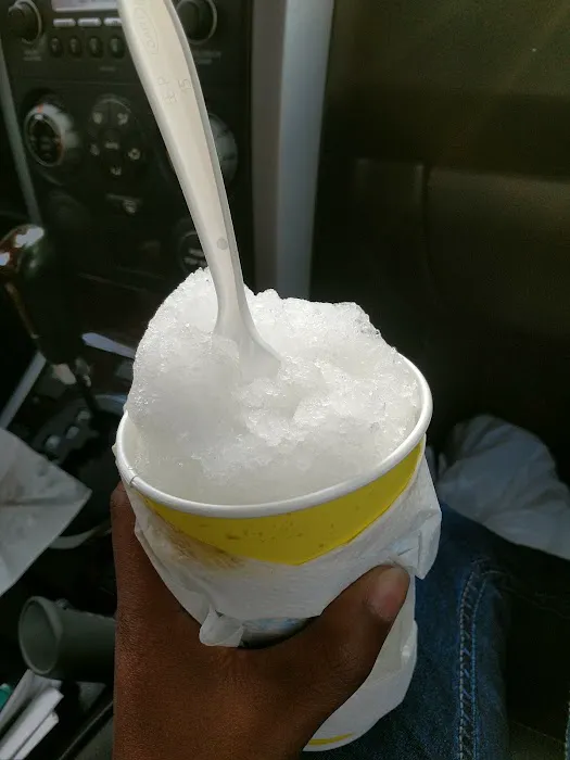 SnOasis Picture 7