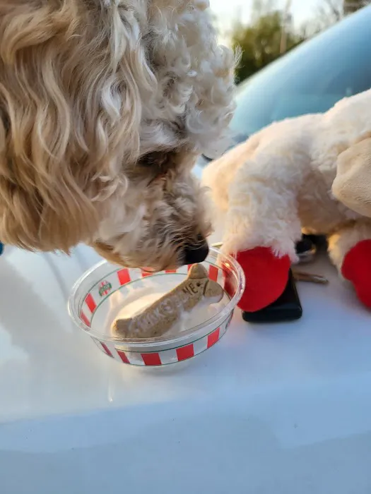 Rita's Italian Ice & Frozen Custard Picture 4