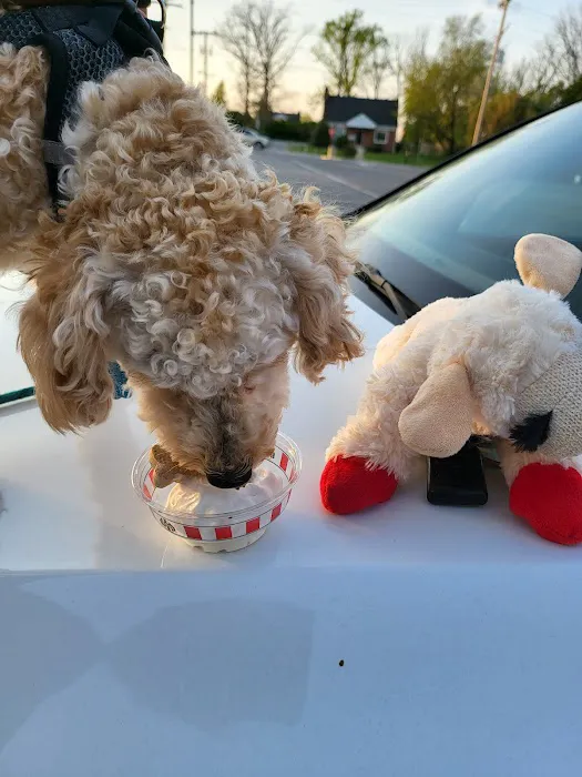Rita's Italian Ice & Frozen Custard Picture 1