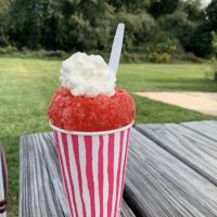 Chilly Willie's Snowballs ico