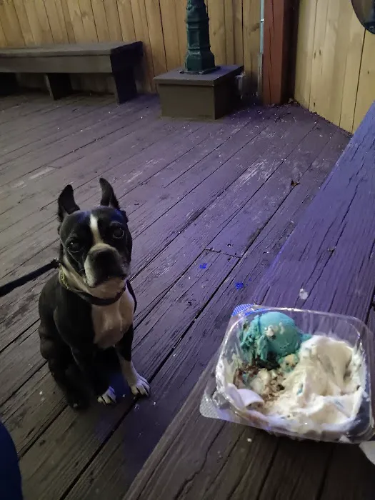 Bonkey's Ice Cream & Snoballs Picture 2