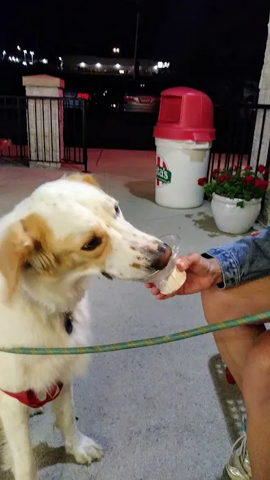 Rita's Italian Ice & Frozen Custard Picture 3