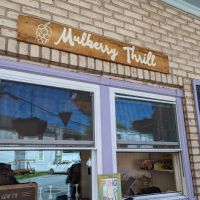 Mulberry Thrill Outdoor Cafe ico