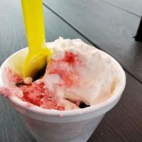 Willy's Ice Cream Saloon ico