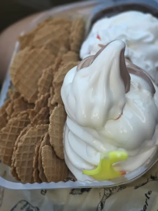 Willy's Ice Cream Saloon Picture 4