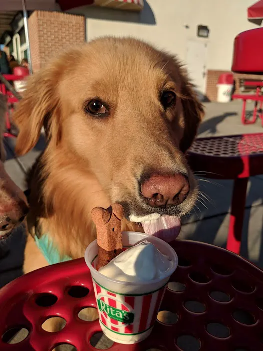 Rita's Italian Ice & Frozen Custard Picture 8