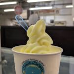 Simple Delights by DJ