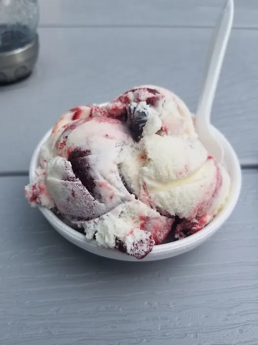 903 Scoops Picture 6