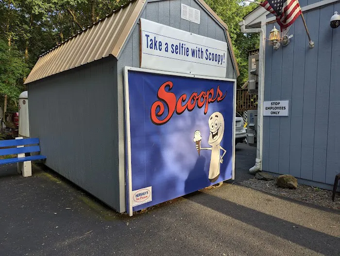 903 Scoops Picture 7