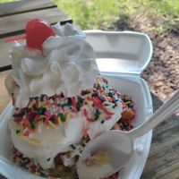 Pamala's Ice Cream ico