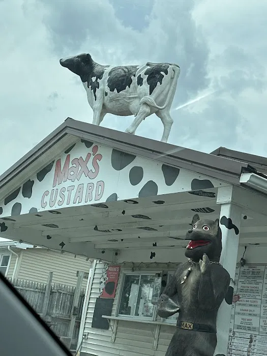Max's Custard Picture 7