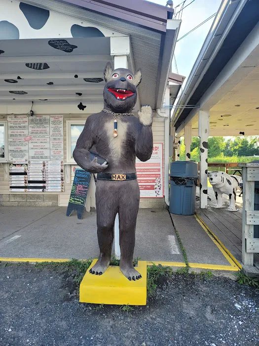 Max's Custard Picture 4