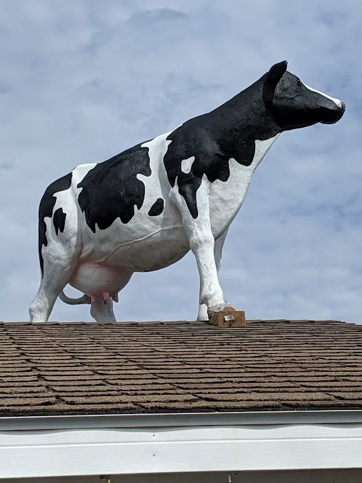 Max's Custard Picture 6