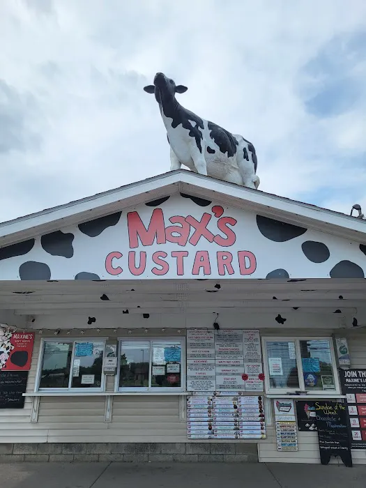 Max's Custard Picture 1