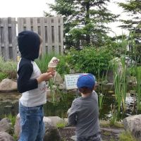 Scoops of Lansing ico