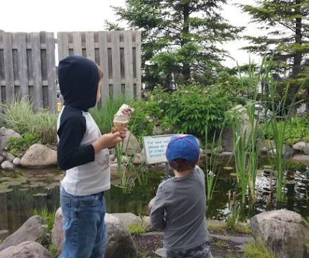 Scoops of Lansing