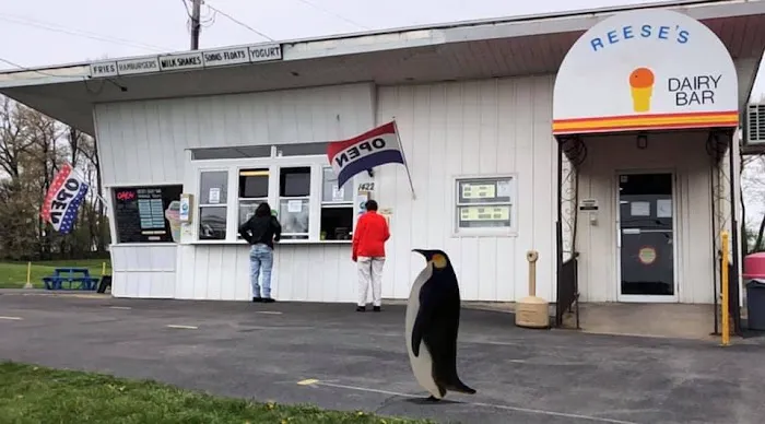 Reese's Dairy Bar Picture 4