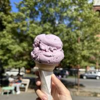 Sweet Melissa's Ice Cream Shop ico