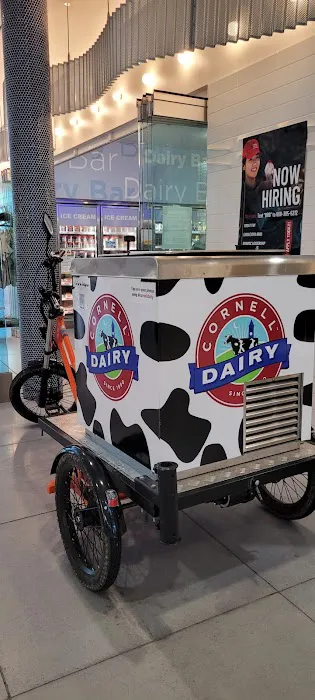 Cornell Dairy Bar Picture 3