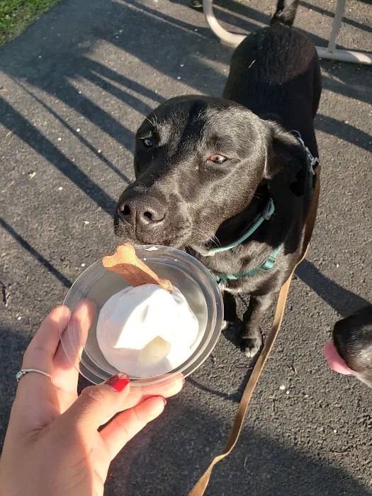 Ice Cream Caboose Picture 3
