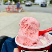 Bruster's Real Ice Cream ico