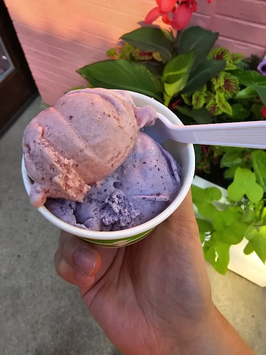 Mimi's Handmade Ice Cream Picture 7