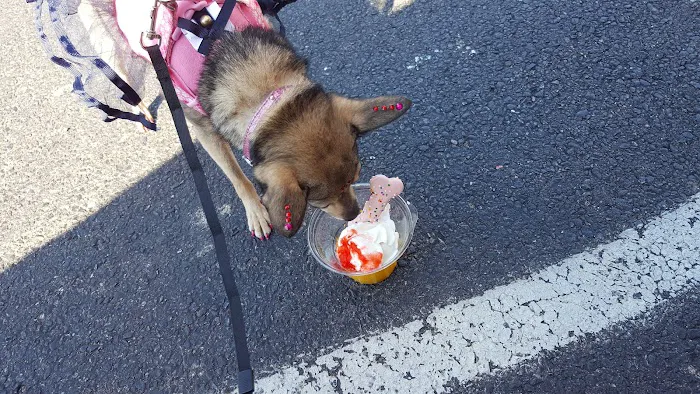 Rita's Italian Ice & Frozen Custard Picture 5