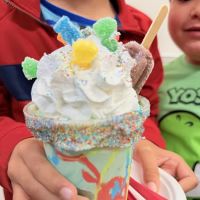 The Crazy Mason Milkshake Bar Old Ellicott City ico