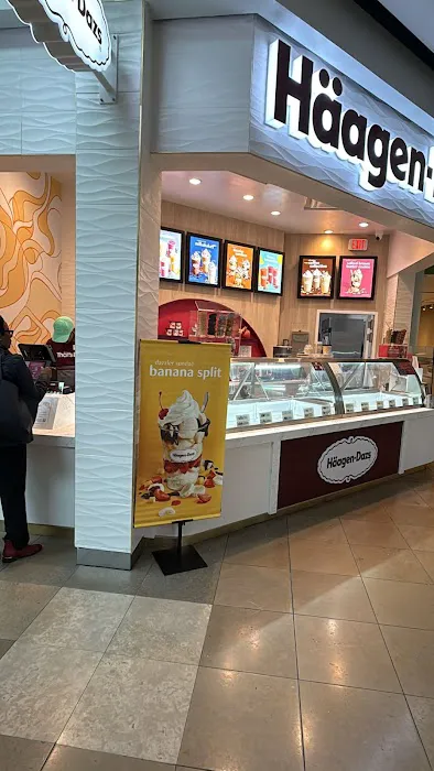 HAAGEN DAZS Picture 2