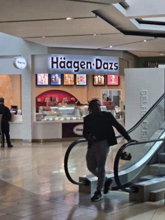 HAAGEN DAZS Picture 4