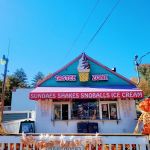 Tastee Zone