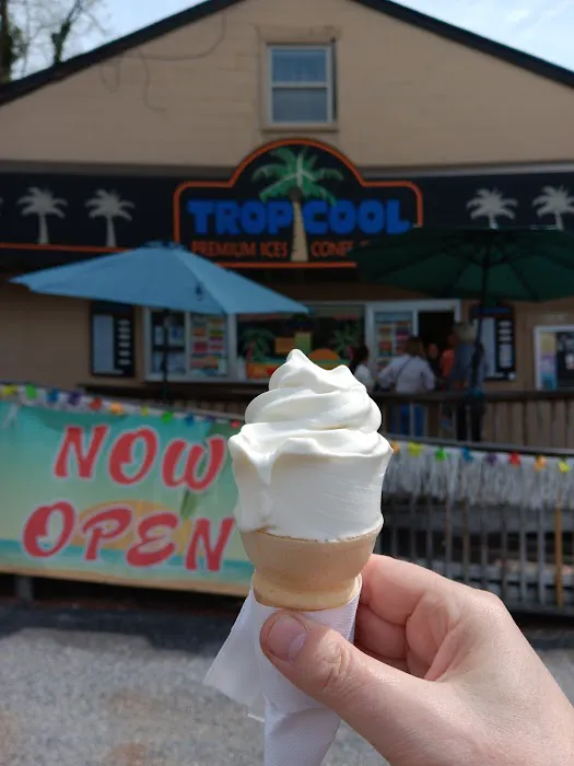 Tropicool Italian Ice Picture 2