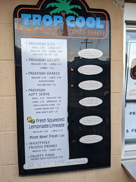 Tropicool Italian Ice Picture 5