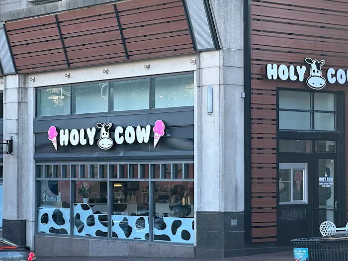 Holy Cow | Edible Cookie Dough & Ice Cream Picture 4