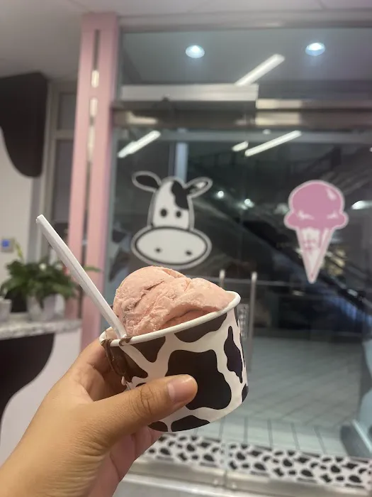 Holy Cow | Edible Cookie Dough & Ice Cream Picture 6