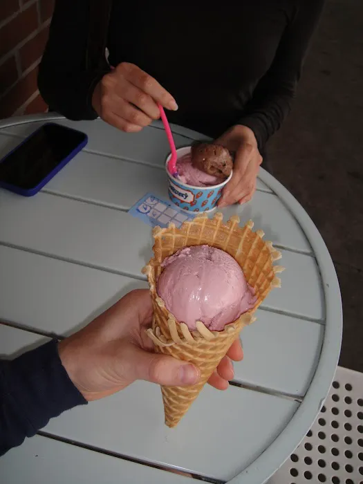 The Charmery Ice Cream Factory Picture 10