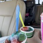 The Frozen Sandcastle Ice Cream & Snowballs