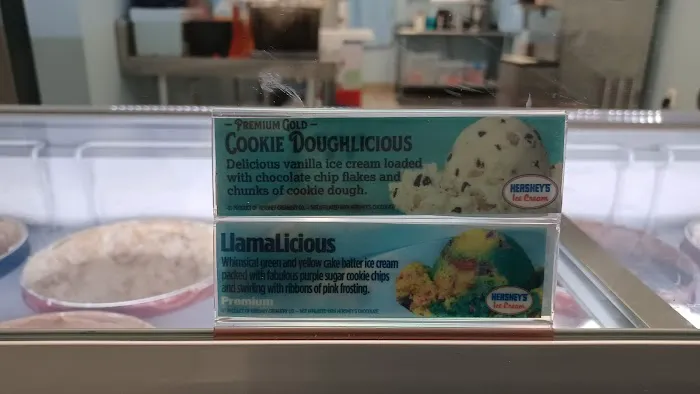 The Frozen Sandcastle Ice Cream & Snowballs Picture 5