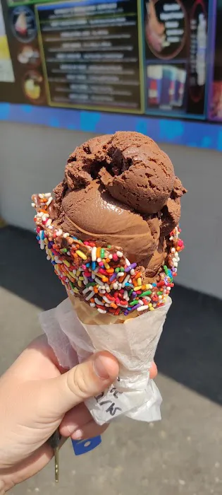 Bonkey's Ice Cream Picture 4