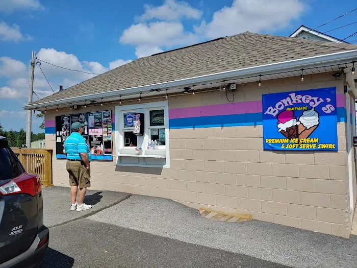 Bonkey's Ice Cream Picture 2