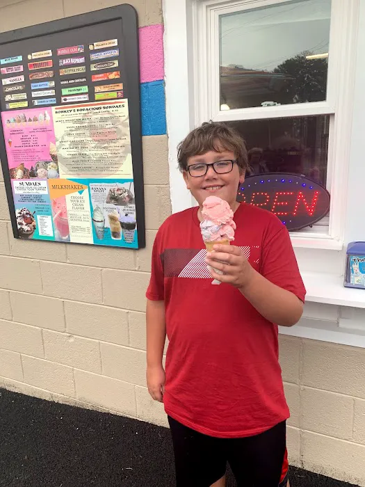 Bonkey's Ice Cream Picture 6