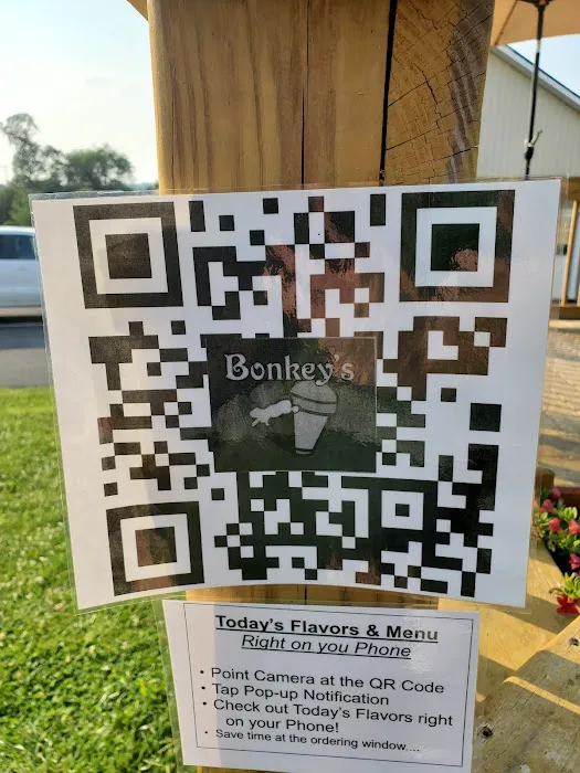 Bonkey's Ice Cream Picture 5