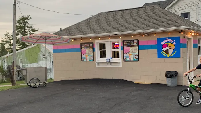 Bonkey's Ice Cream Picture 9