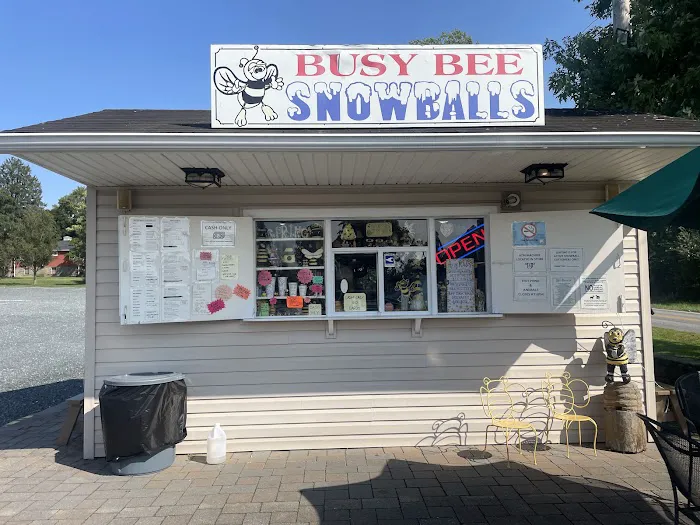Busy Bee Snowballs Picture 2
